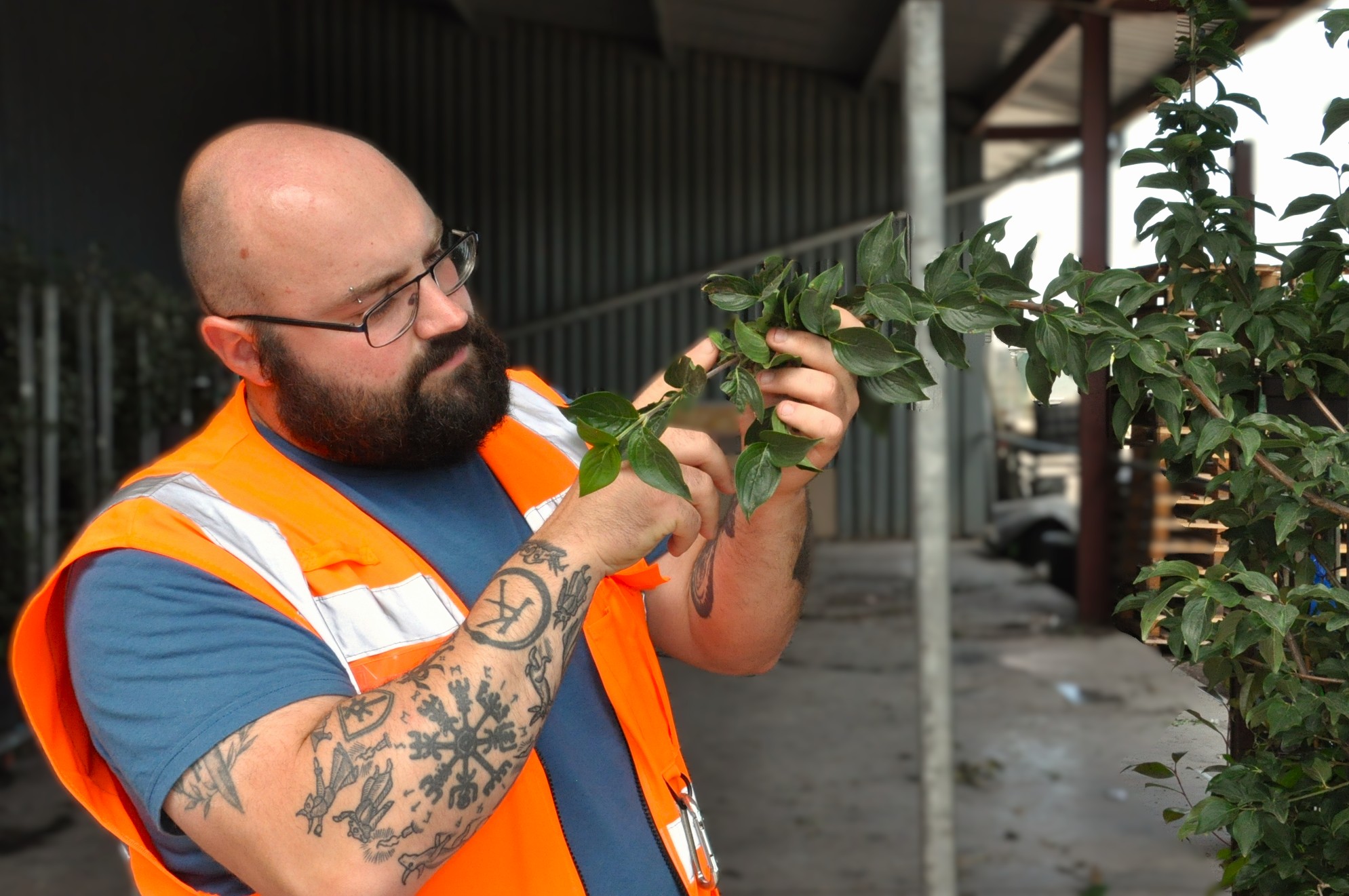 Plant health and biosecurity practices at Palmstead