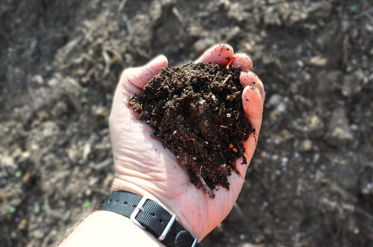 Wind row composting heaps for sustainable soil management