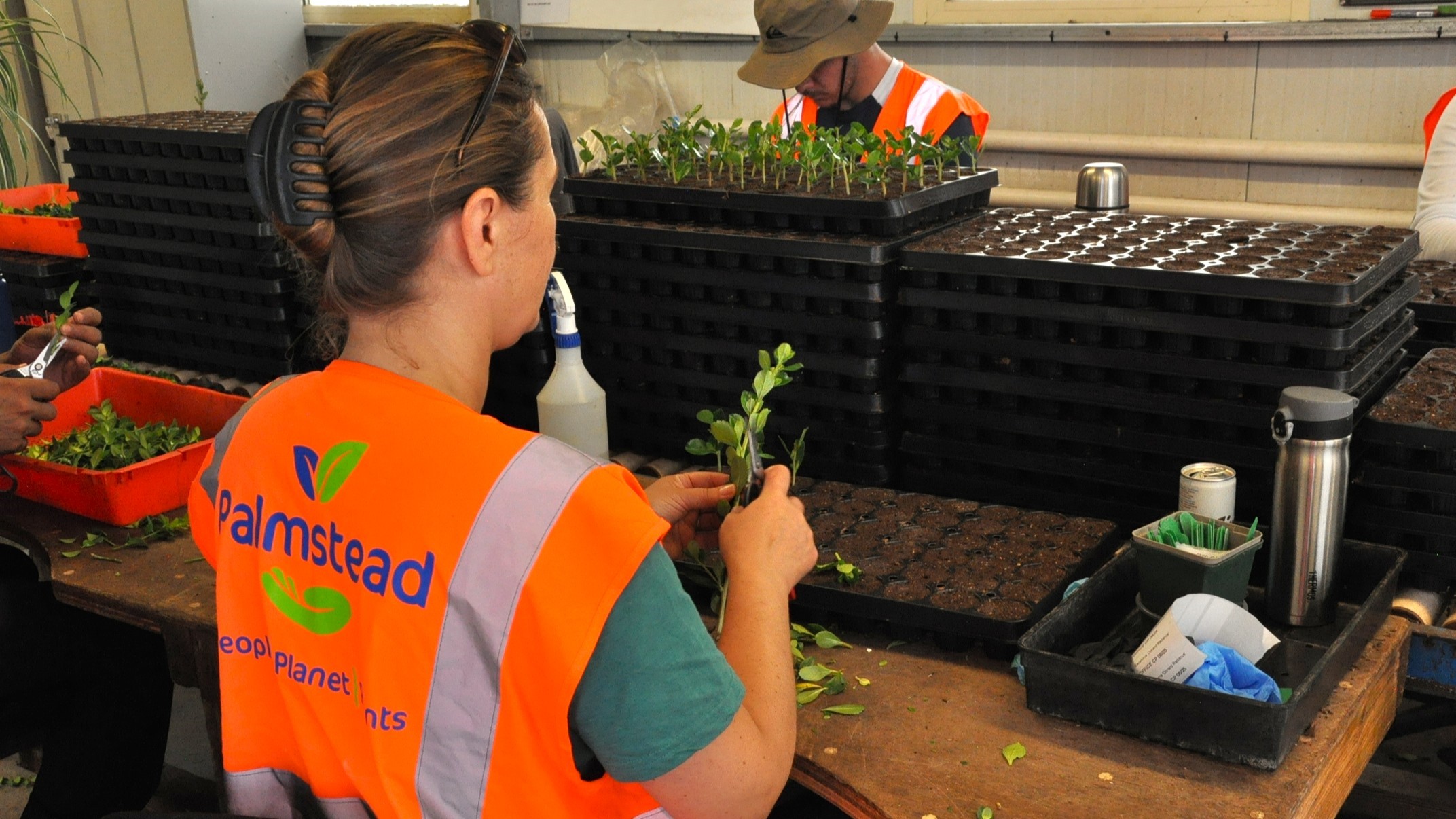 Integrated ecological and production management at the nursery