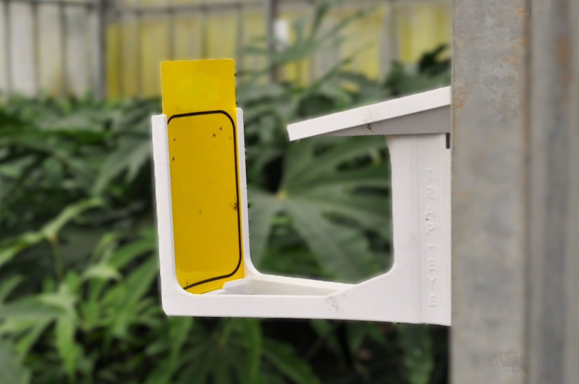 PATS-C and Bug Eye AI automated pest detection equipment