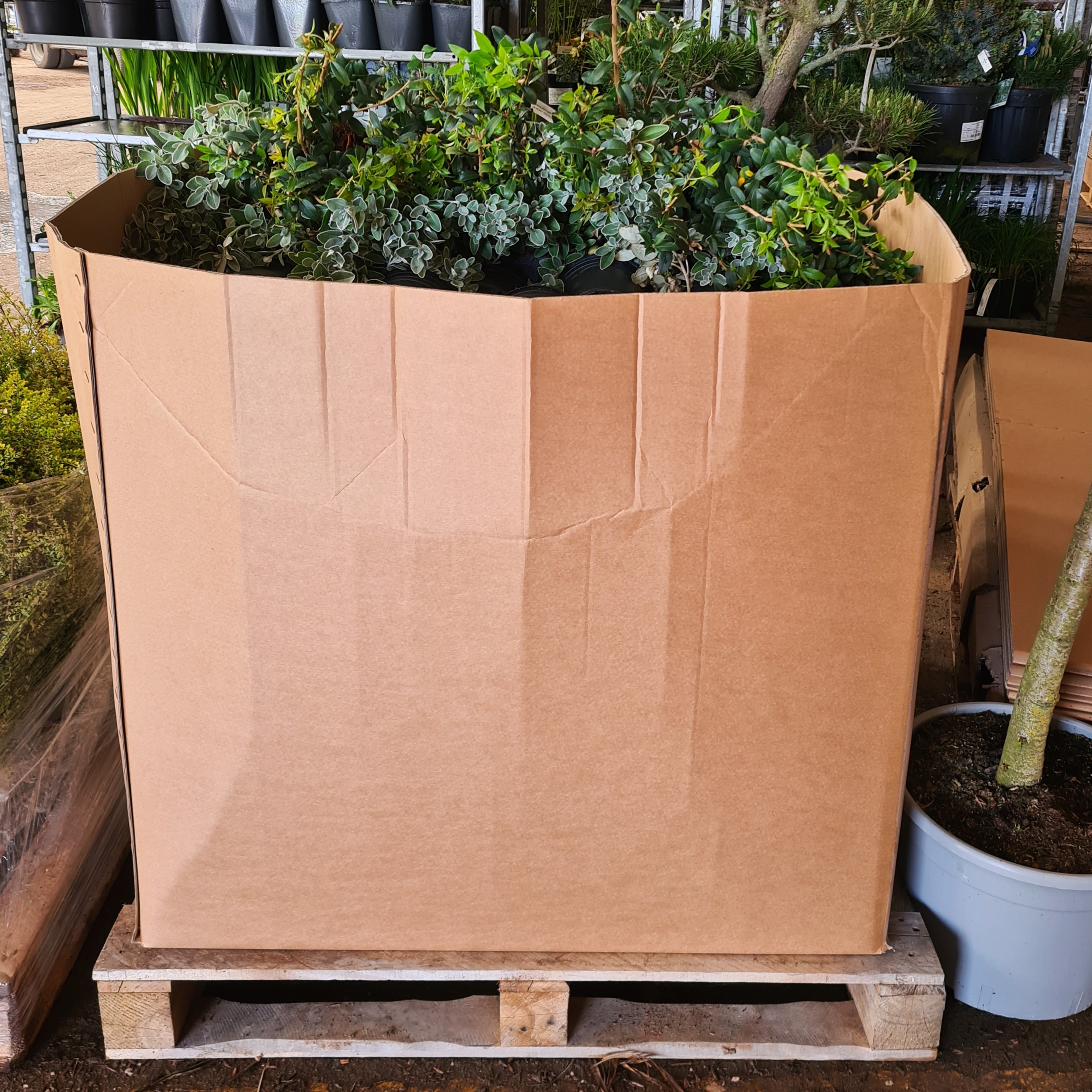 Descriptive alt text