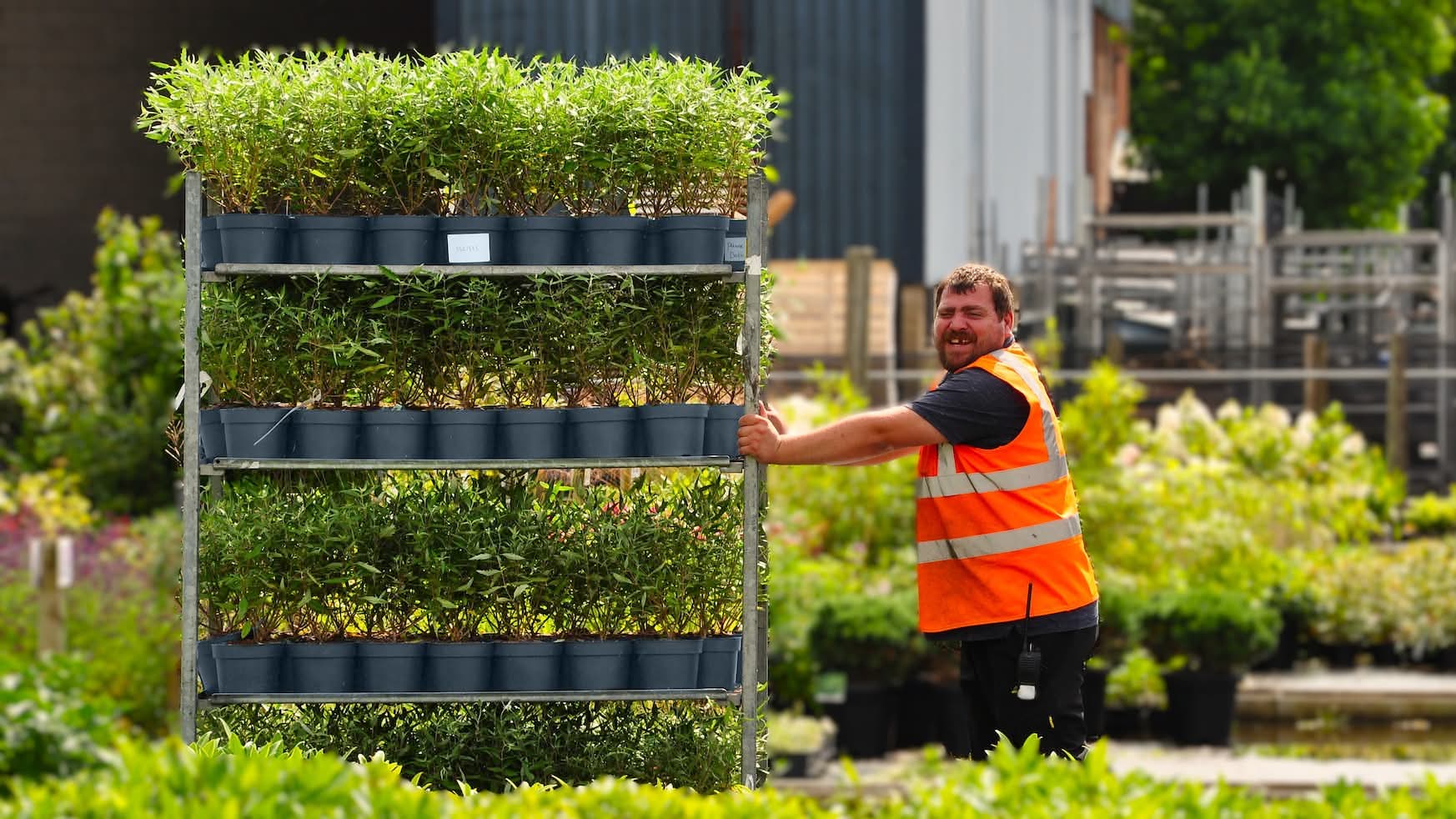 Palmstead Nursery People Seasonal Display