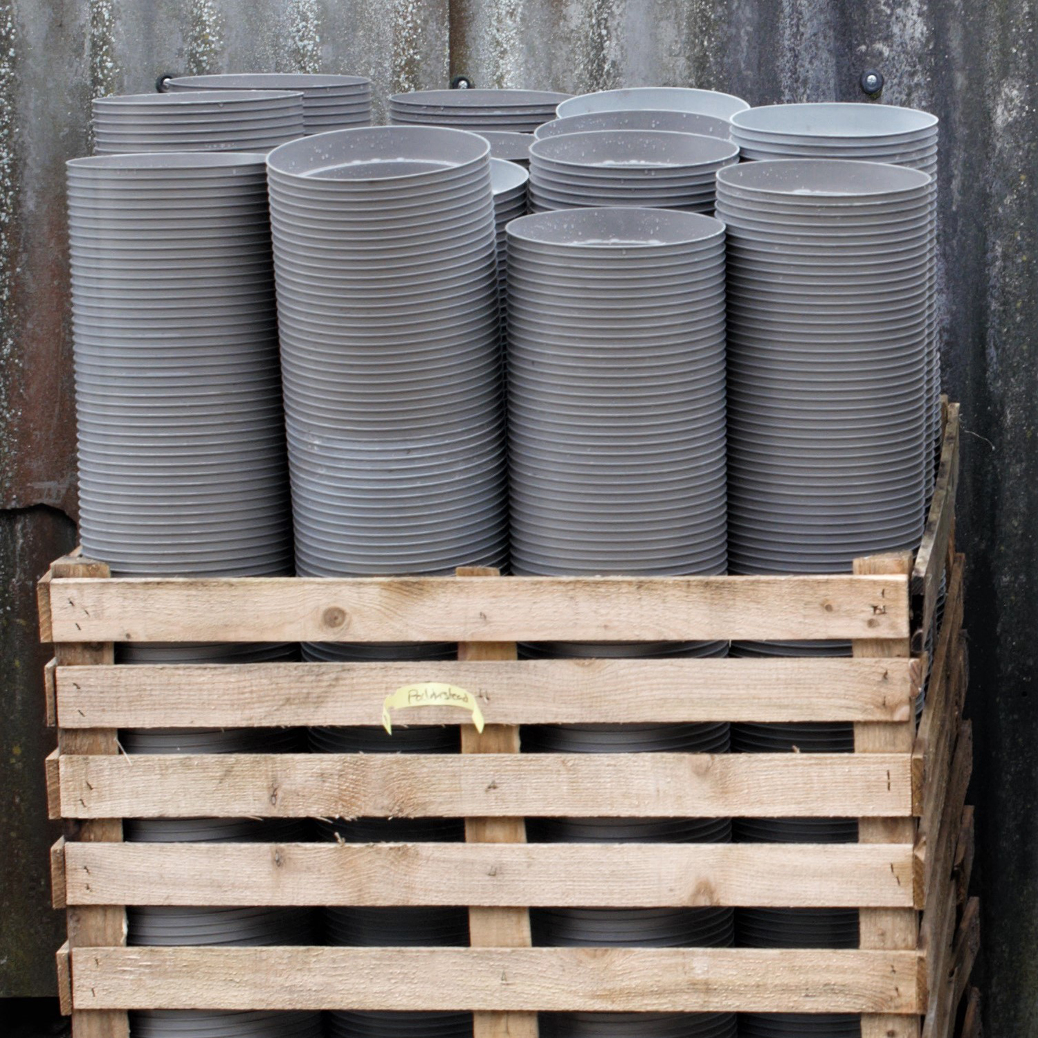 Palmstead Nursery Planet Landscape Background