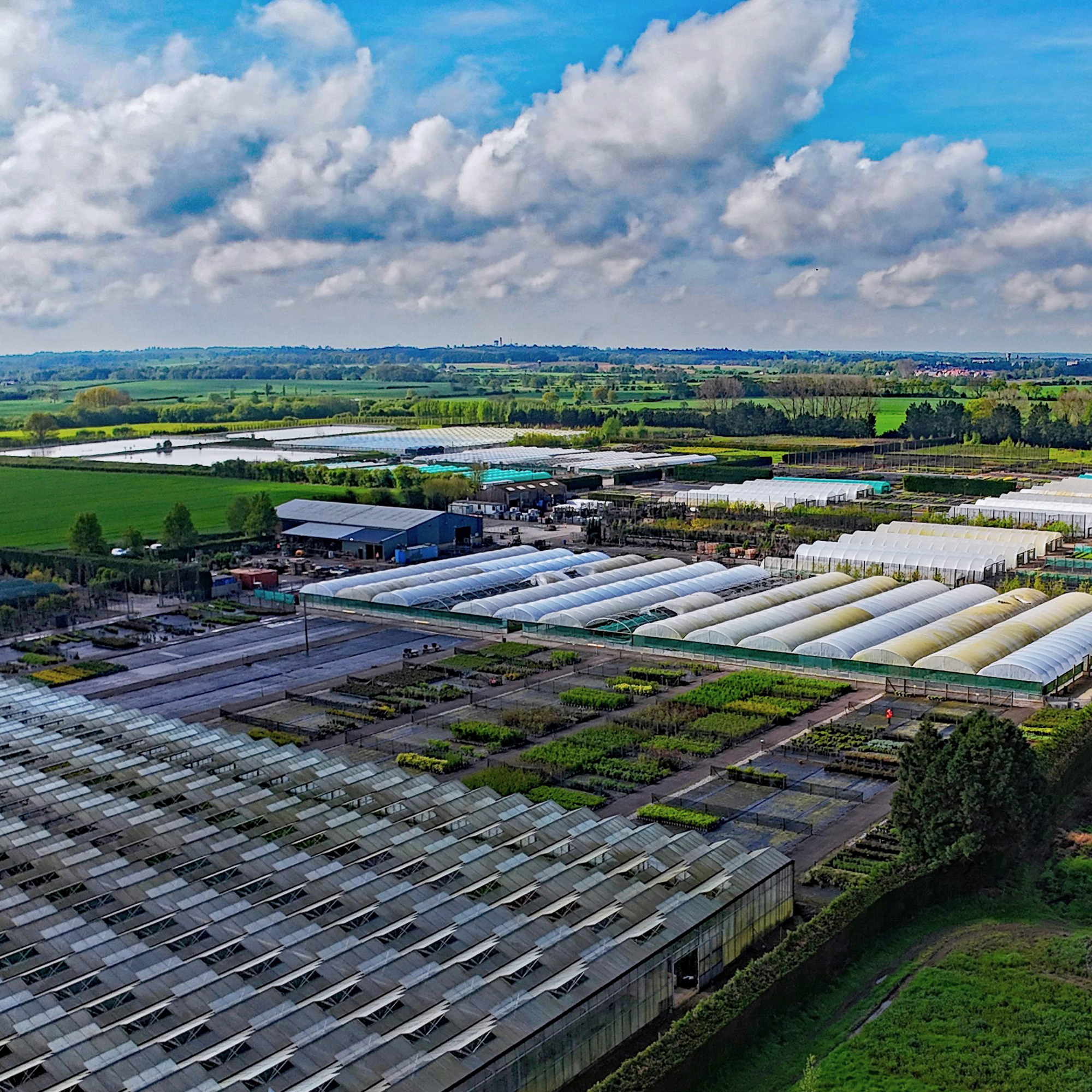Palmstead Nursery Planet Close-up View