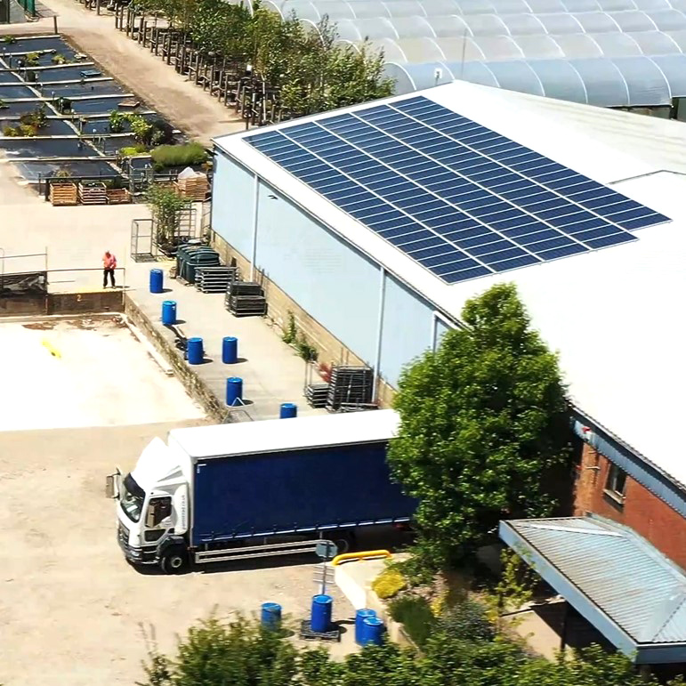 Palmstead Nursery Planet Seasonal Display