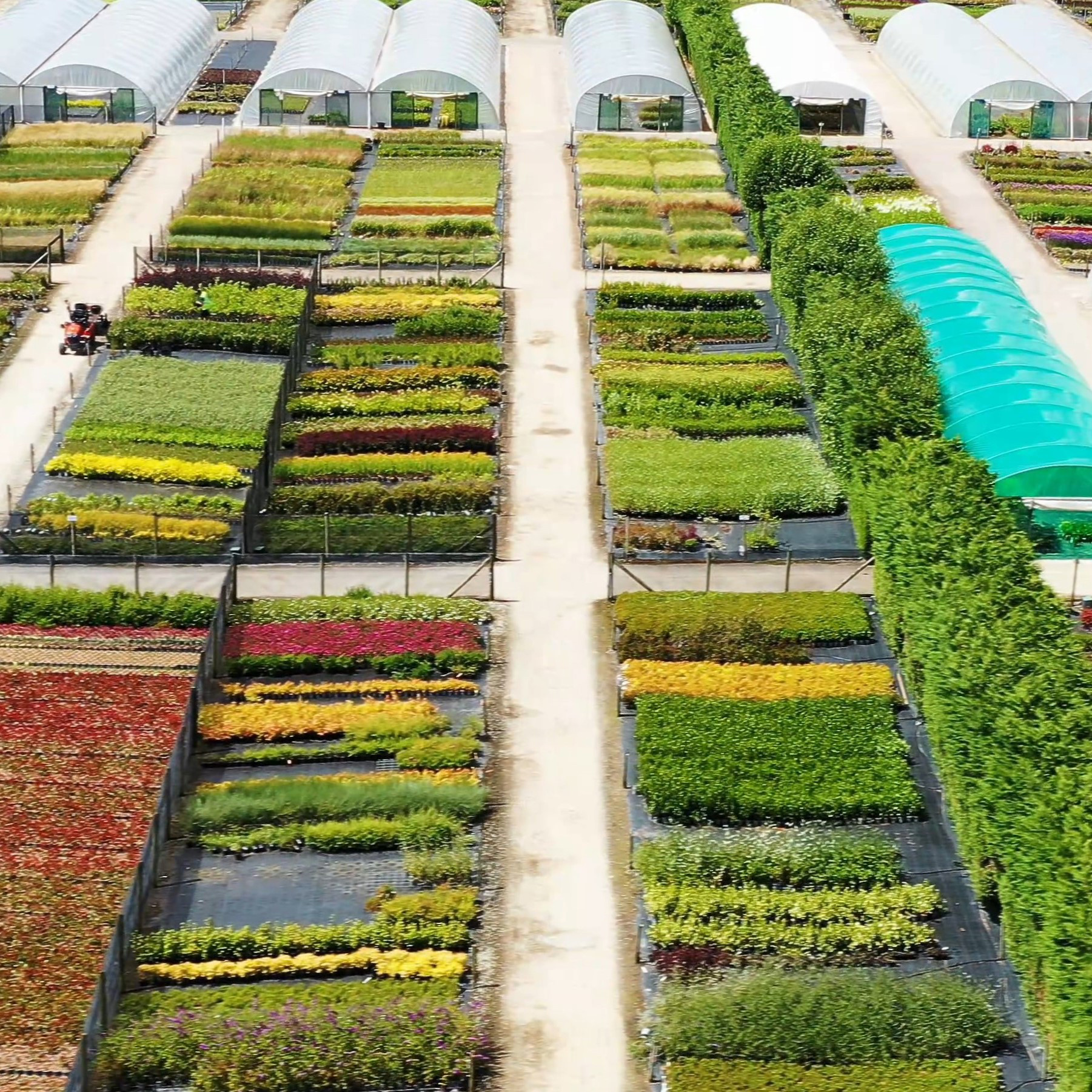 Palmstead Nursery Shop Seasonal Display